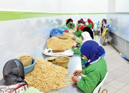 Moroccan Cosmetic Manufacturing - Moroccan Cosmetic Manufacturer solution